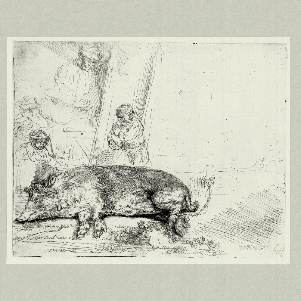 Rembrandt Van Rijn; The Hog Art G S Pawn