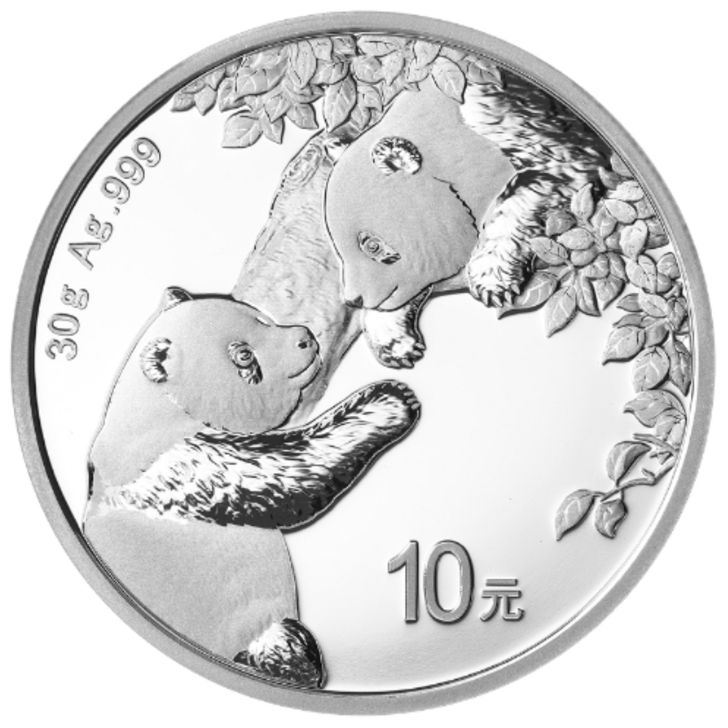 2023 China 30-gm Silver Panda Brilliant Uncirculated w/ Capsule Gold & Silver Pawn Shop