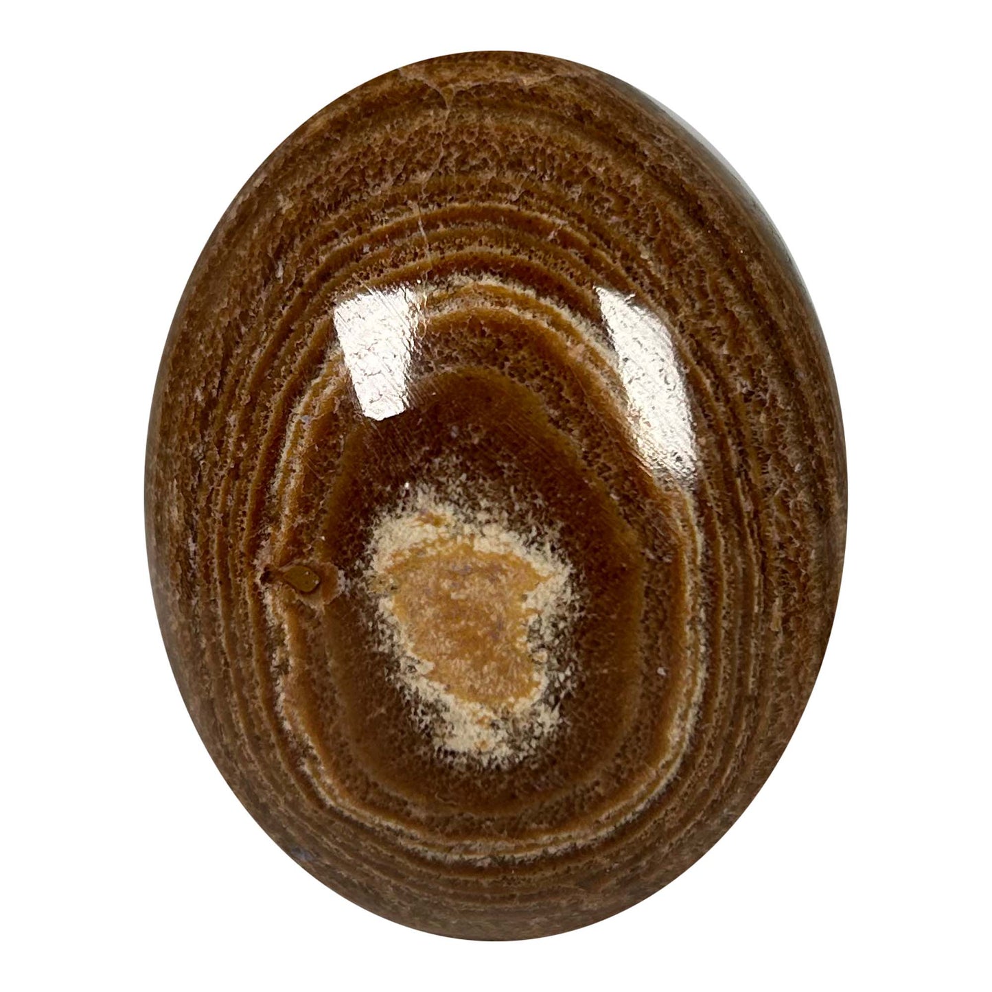 Aragonite Polished Egg Crystal Art Gold & Silver Pawn Shop