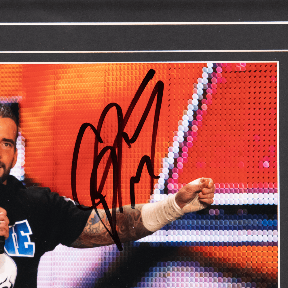 CM Punk Signed WWE Memorabilia
Gold & Silver Pawn Shop
