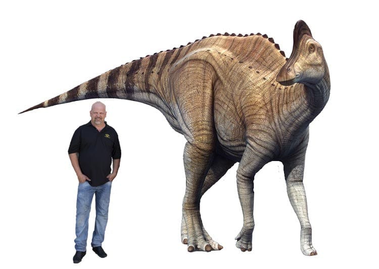 Corythosaur Fossil Art G S Pawn