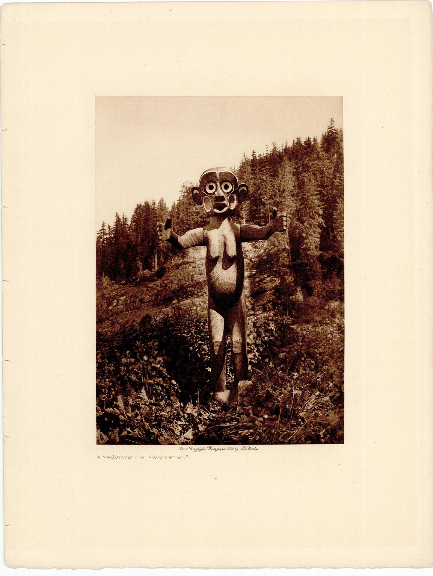 Edward Curtis; A Tsunukwa At Kwaustums Art G S Pawn