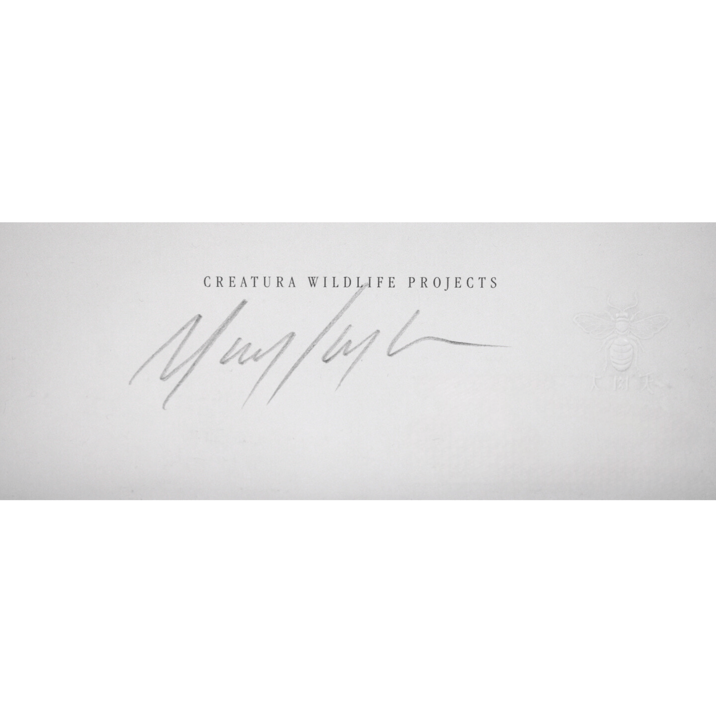 Mark Ryden: Yuki the Young Yak Art Gold & Silver Pawn Shop