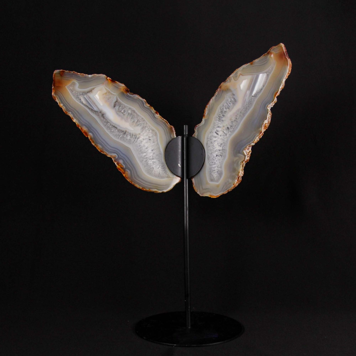Agate Slice Butterfly Art Gold & Silver Pawn Shop