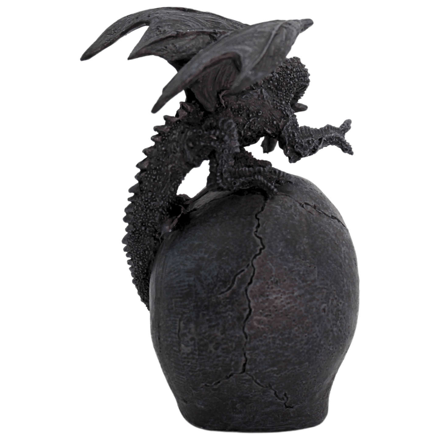 Skull & Dragon LED Light Gold & Silver Pawn Shop