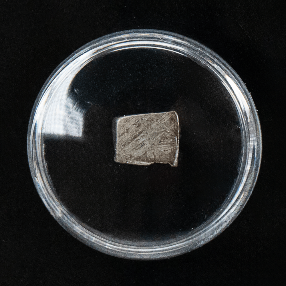 Muonionalusa Meteorite Art Gold & Silver Pawn Shop