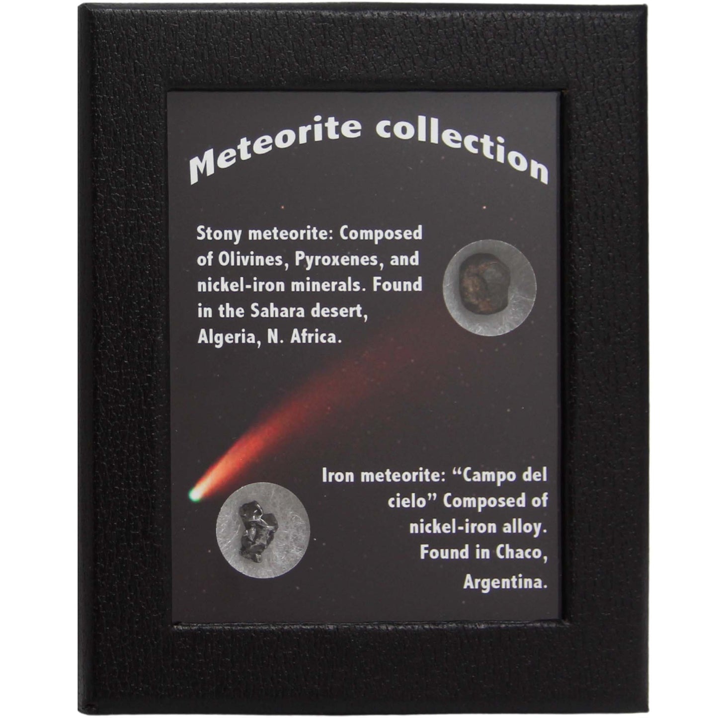 Meteorite Collection Art Gold & Silver Pawn Shop