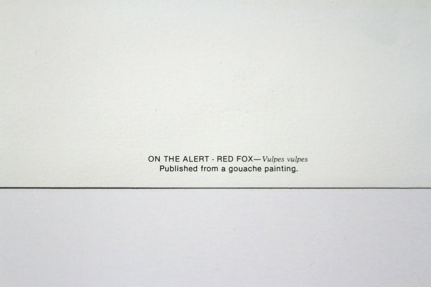 Carl Brenders; "On The Alert - Red Fox" Art G S Pawn