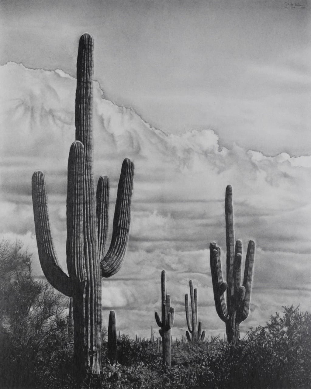 Chris Baker; Desert Landscape Art G S Pawn