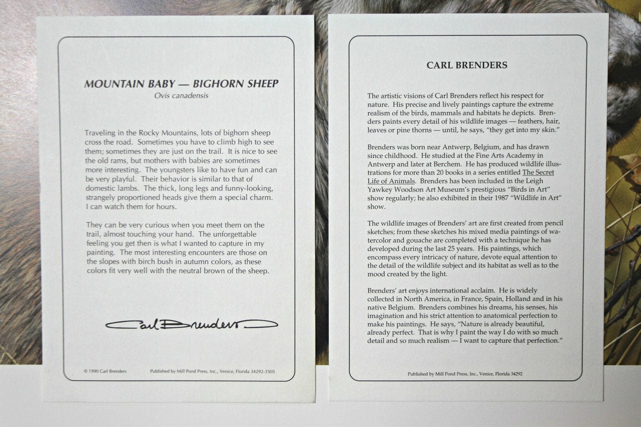 Carl Brenders; "Mountain Baby - Bighorn Sheep" Art G S Pawn