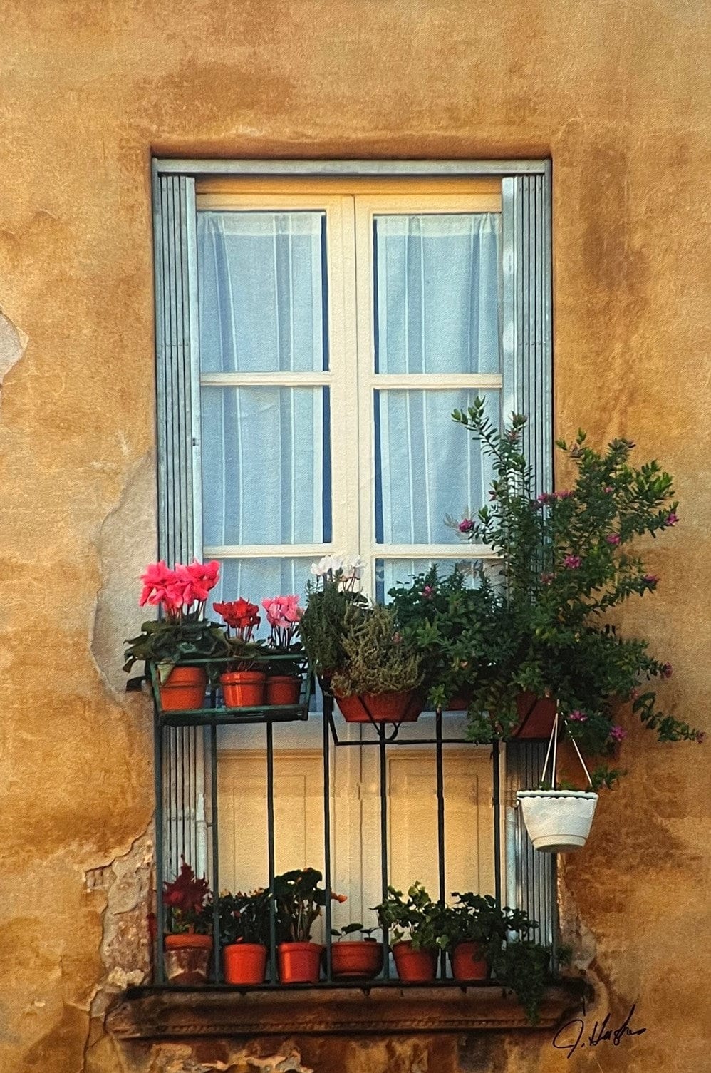 J Hughes - Flowerbox Art G S Pawn