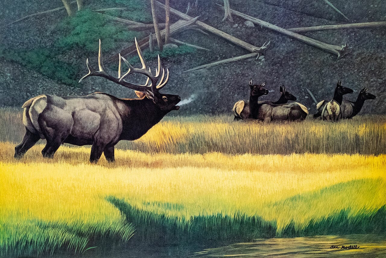 Don Rodell; "Morning Challenge" Art G S Pawn