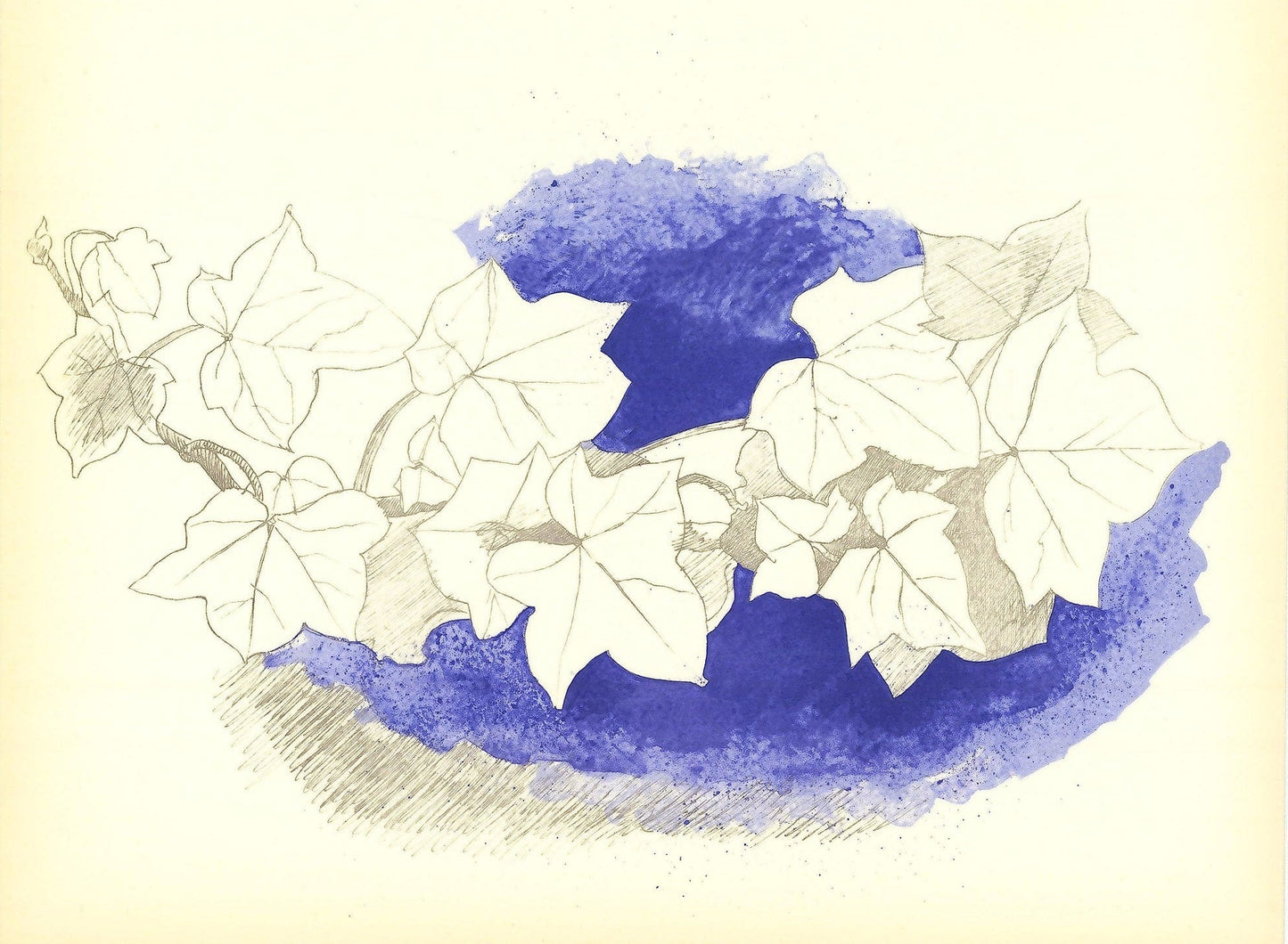 Georges Braque: Feuilles sur Fond Bleu Art G S Pawn