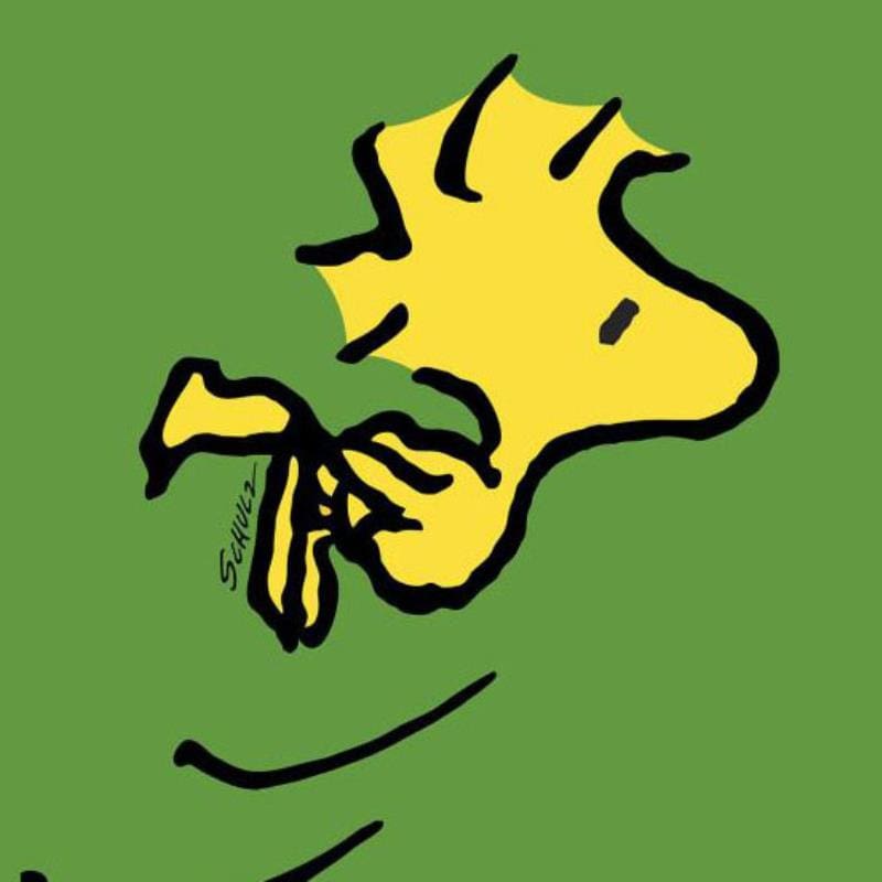 Peanuts; Woodstock Art Gold & Silver Pawn Shop