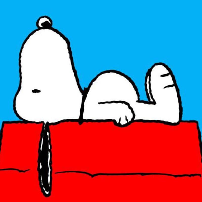 Peanuts; Take A Moment Art Gold & Silver Pawn Shop