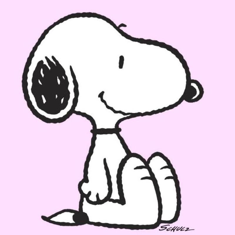 Peanuts; Snoopy: Pink