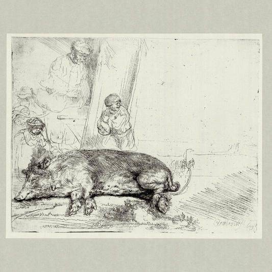 Rembrandt Van Rijn; The Hog Art G S Pawn