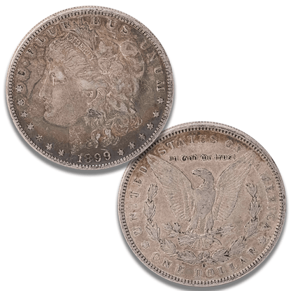 Random Date U.S. Silver Dollar Gold & Silver Pawn Shop