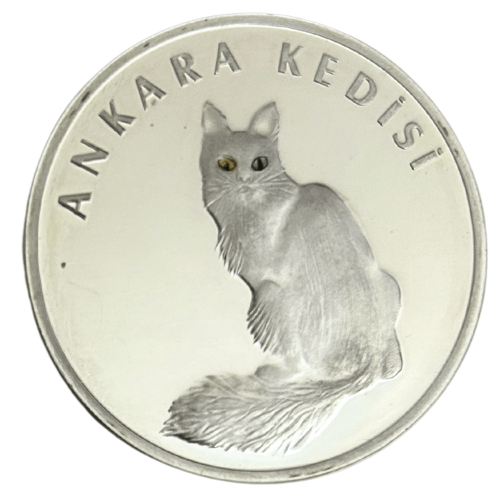 2005 Turkey Ankara Kedisi Cat Coin Thumbnail 