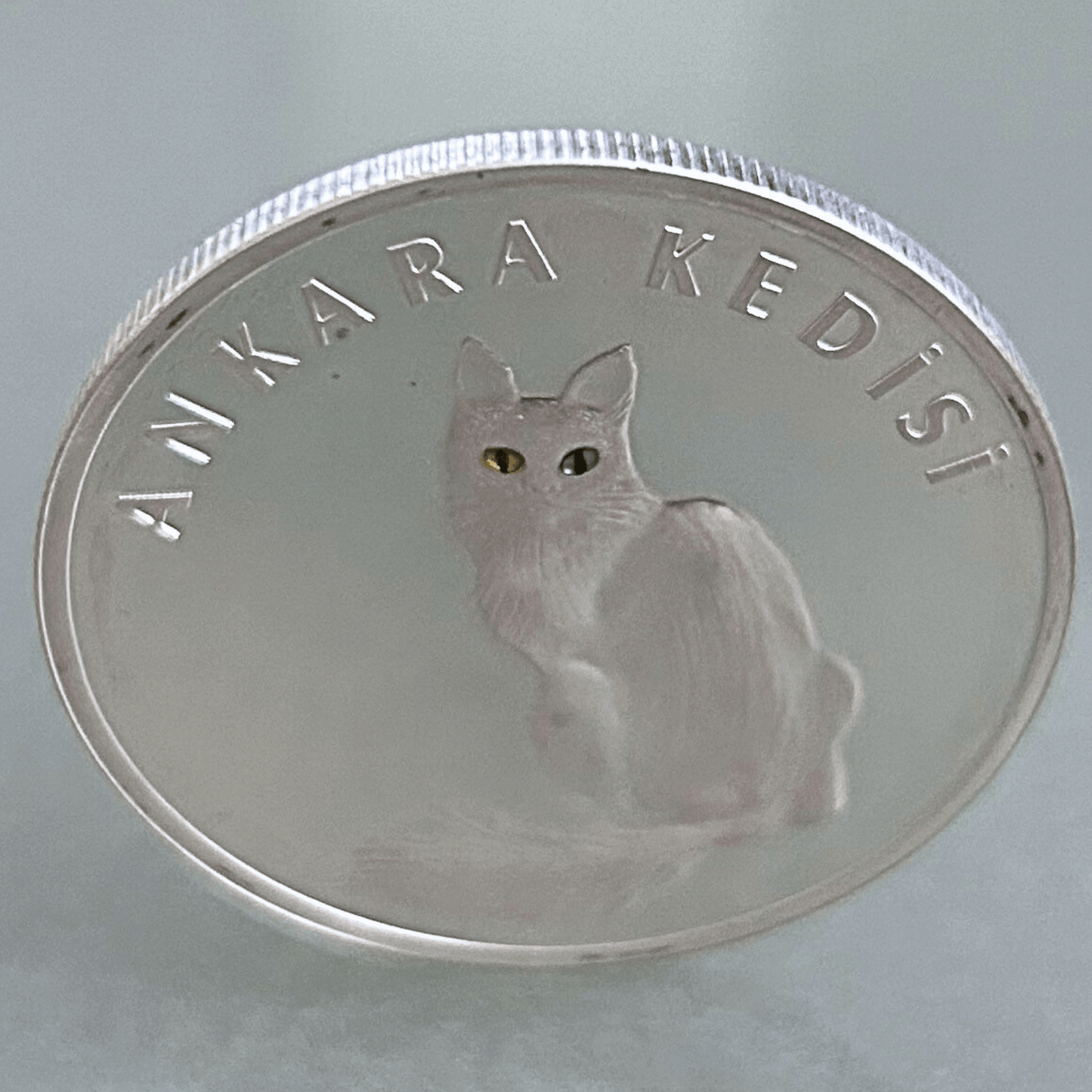 2005 Turkey Ankara Kedisi Cat Coin Angle