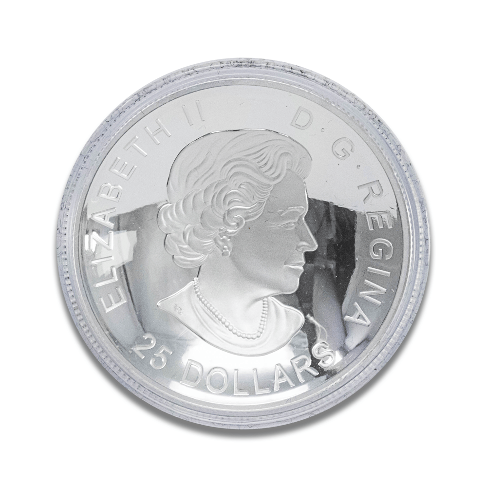 2017 Canada $25 Silver "A View of Canada from Space" Coin
Gold & Silver Pawn Shop