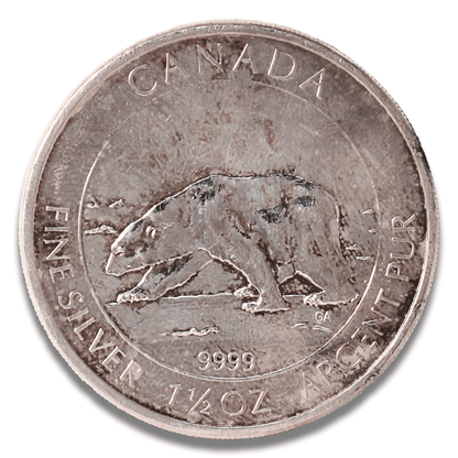 2013 1.5 oz Canada Polar Bear Coin
Gold & Silver Pawn Shop