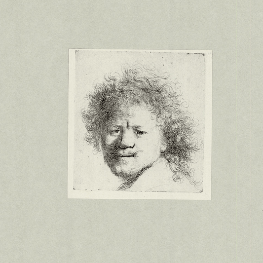 Rembrandt Van Rijn; Rembrandt with Long Bushy Hair c. 1631 Art G S Pawn