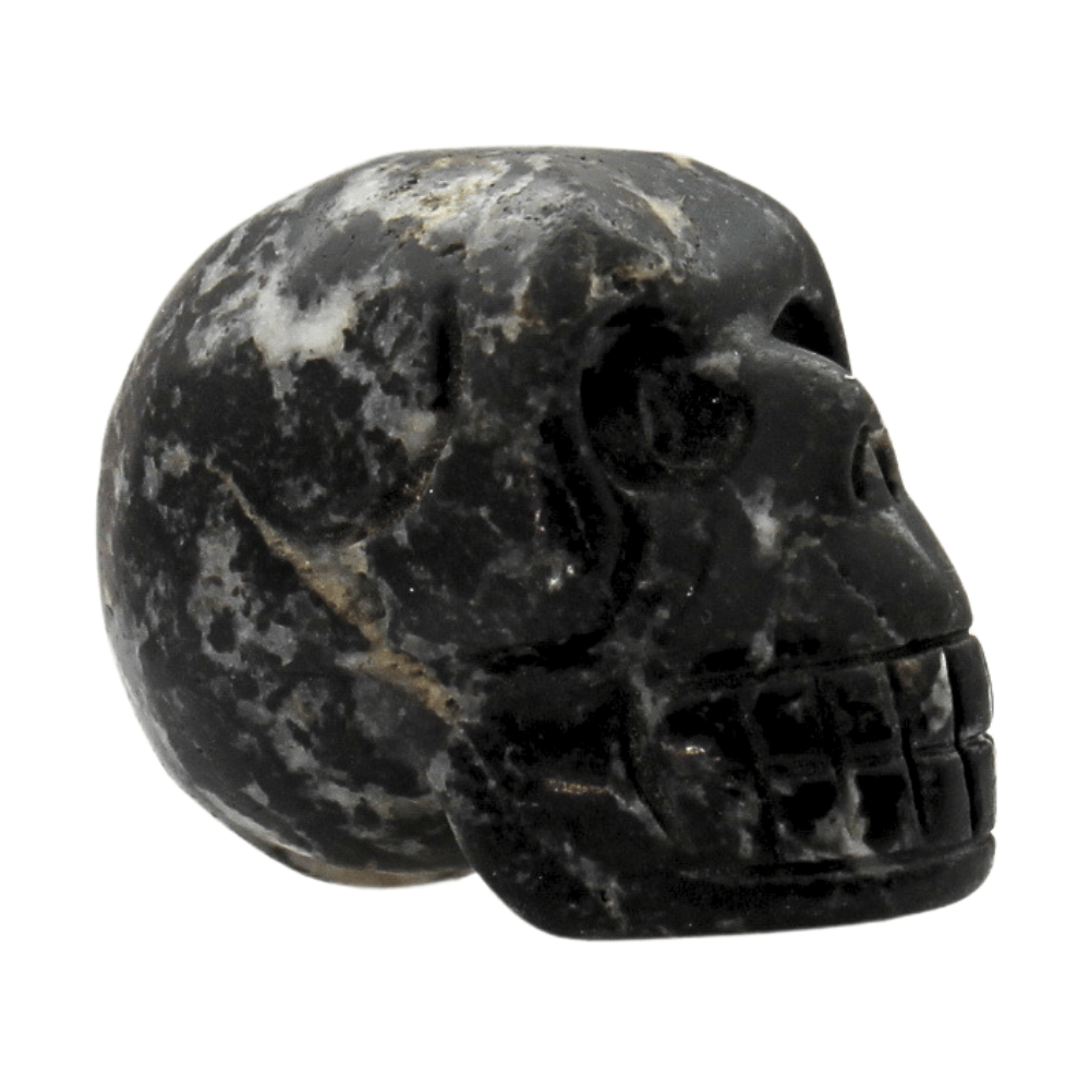 Black Jasper Crystal Skull Art Gold & Silver Pawn Shop
