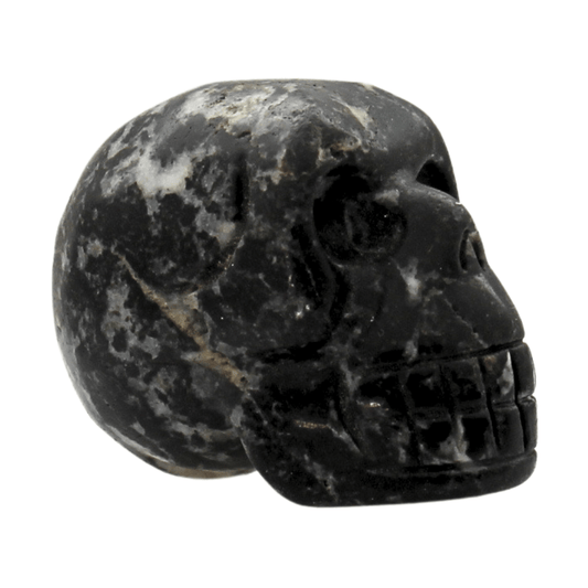 Black Jasper Crystal Skull Art Gold & Silver Pawn Shop