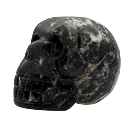 Black Jasper Crystal Skull Art Gold & Silver Pawn Shop