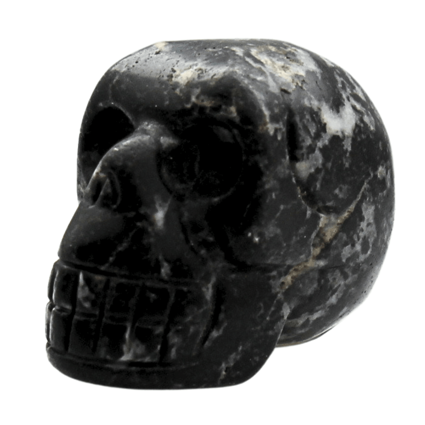 Black Jasper Crystal Skull Art Gold & Silver Pawn Shop