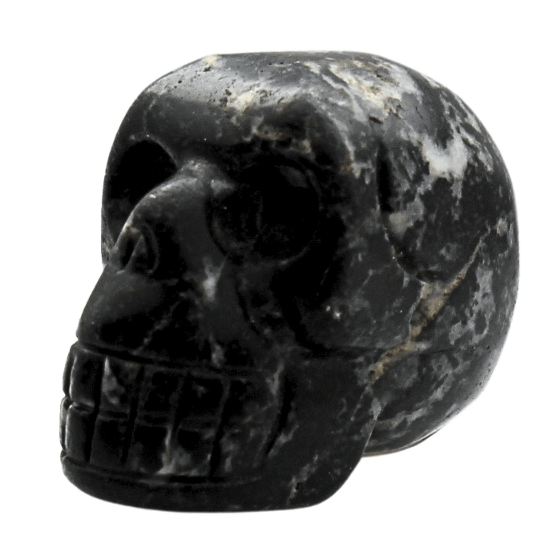Black Jasper Crystal Skull Art Gold & Silver Pawn Shop