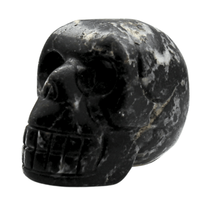 Black Jasper Crystal Skull Art Gold & Silver Pawn Shop