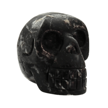 Black Jasper Crystal Skull Art Gold & Silver Pawn Shop
