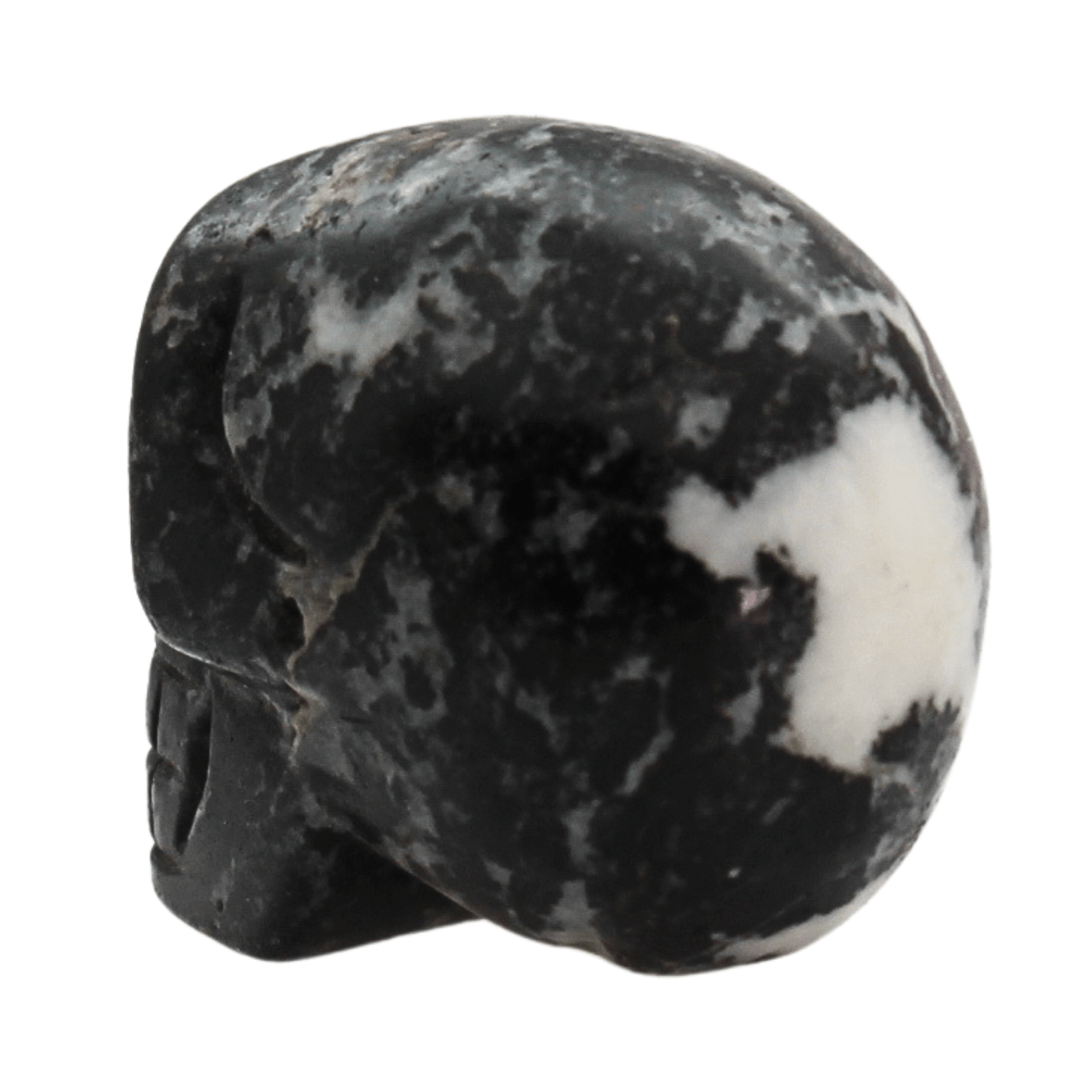 Black Jasper Crystal Skull Art Gold & Silver Pawn Shop