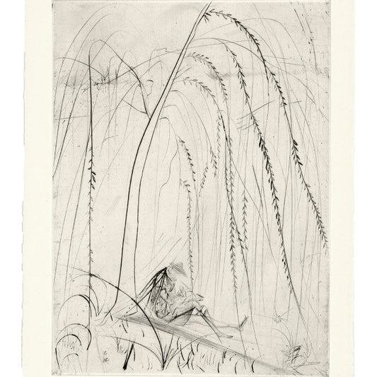 Salvador Dalí: La Saule Pleureur, "Les Amours de Cassandre," 1968 Art G S Pawn