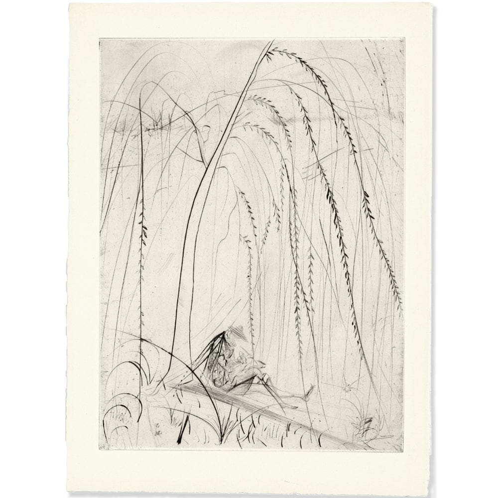 Salvador Dalí: La Saule Pleureur, "Les Amours de Cassandre," 1968 Art G S Pawn