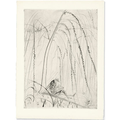 Salvador Dalí: La Saule Pleureur, "Les Amours de Cassandre," 1968 Art G S Pawn