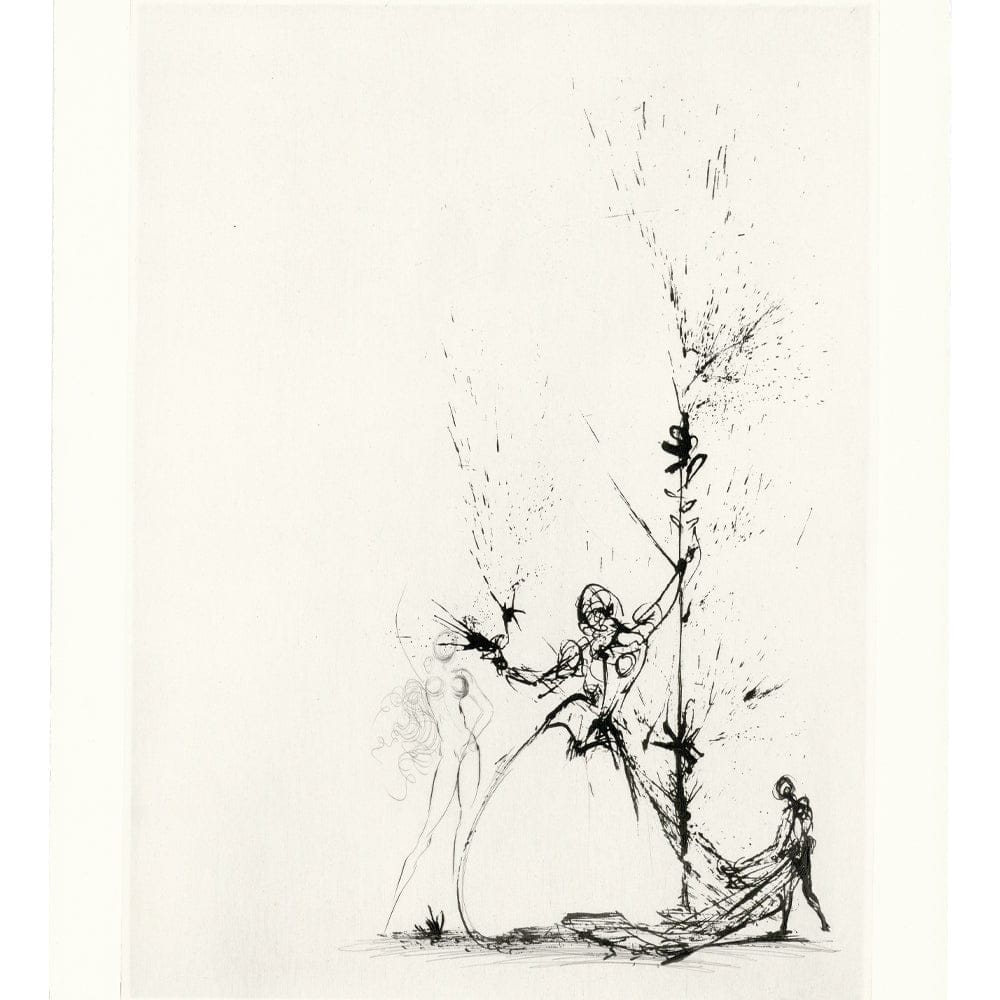 Salvador Dalí: La Femme au Page, "Les Amours de Cassandre," 1968 Art G S Pawn