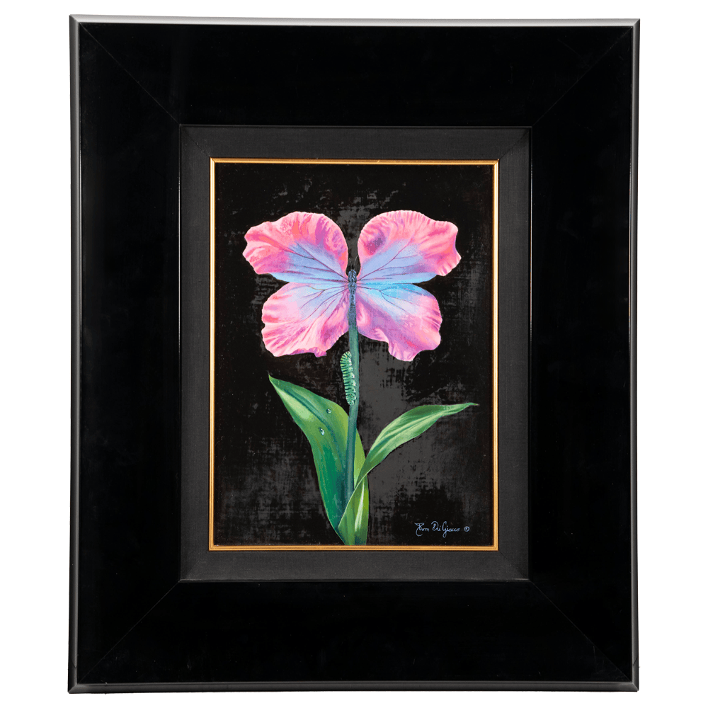 Thomas DiGiacco: Butterfly Art G S Pawn