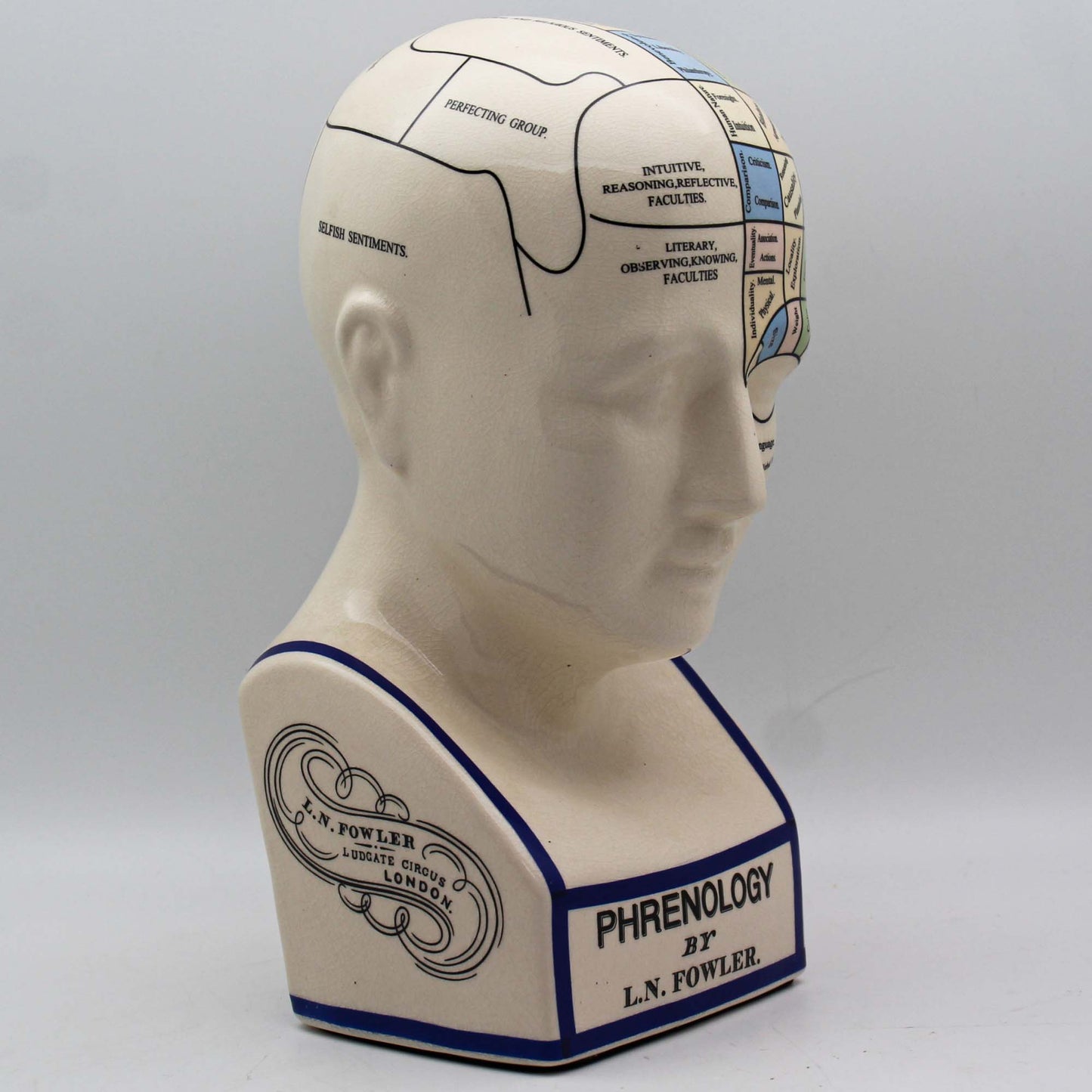 Fowlers Self-Instructor Phrenology Book & Head