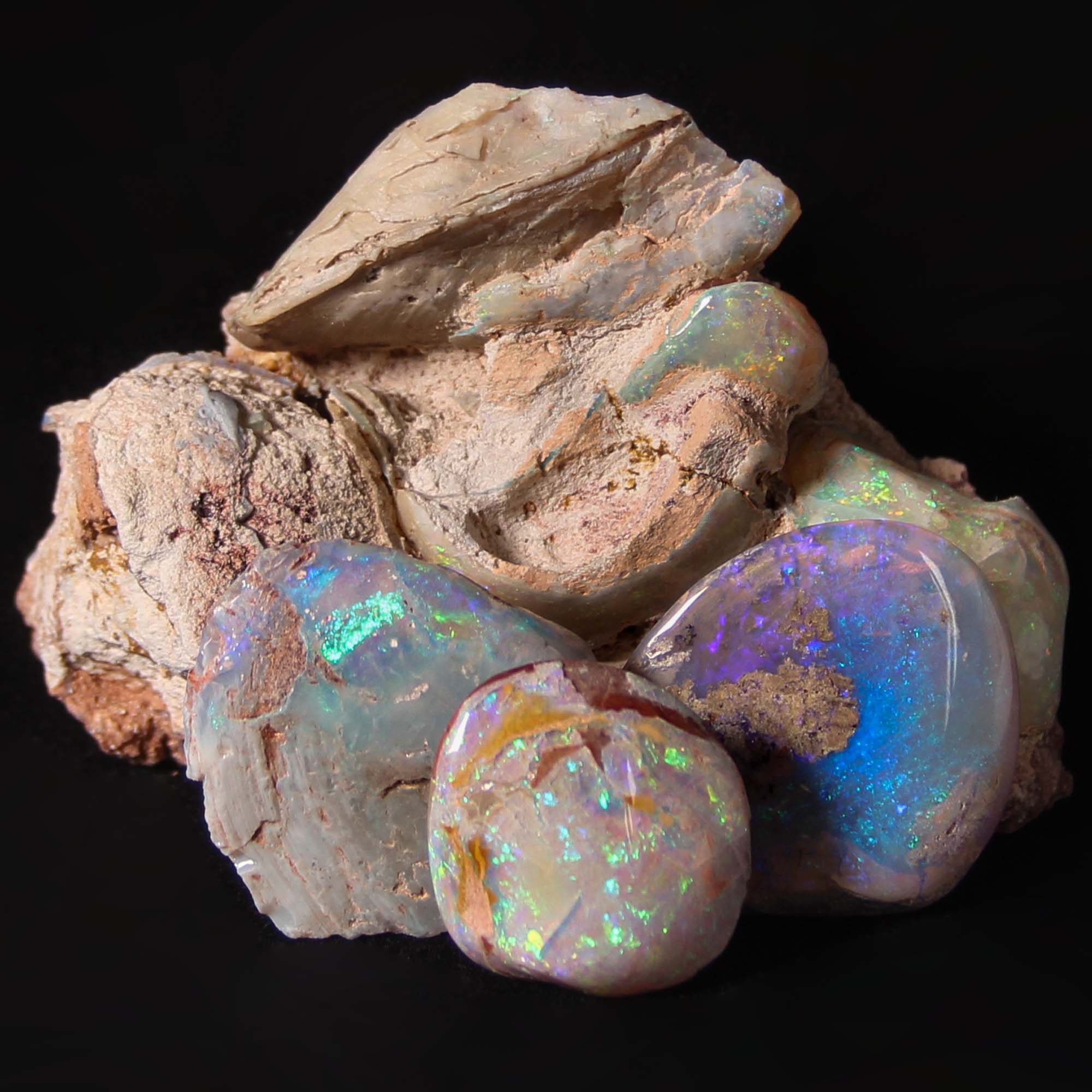 Fossils & Minerals – Page 3 – Gold & Silver Pawn Shop