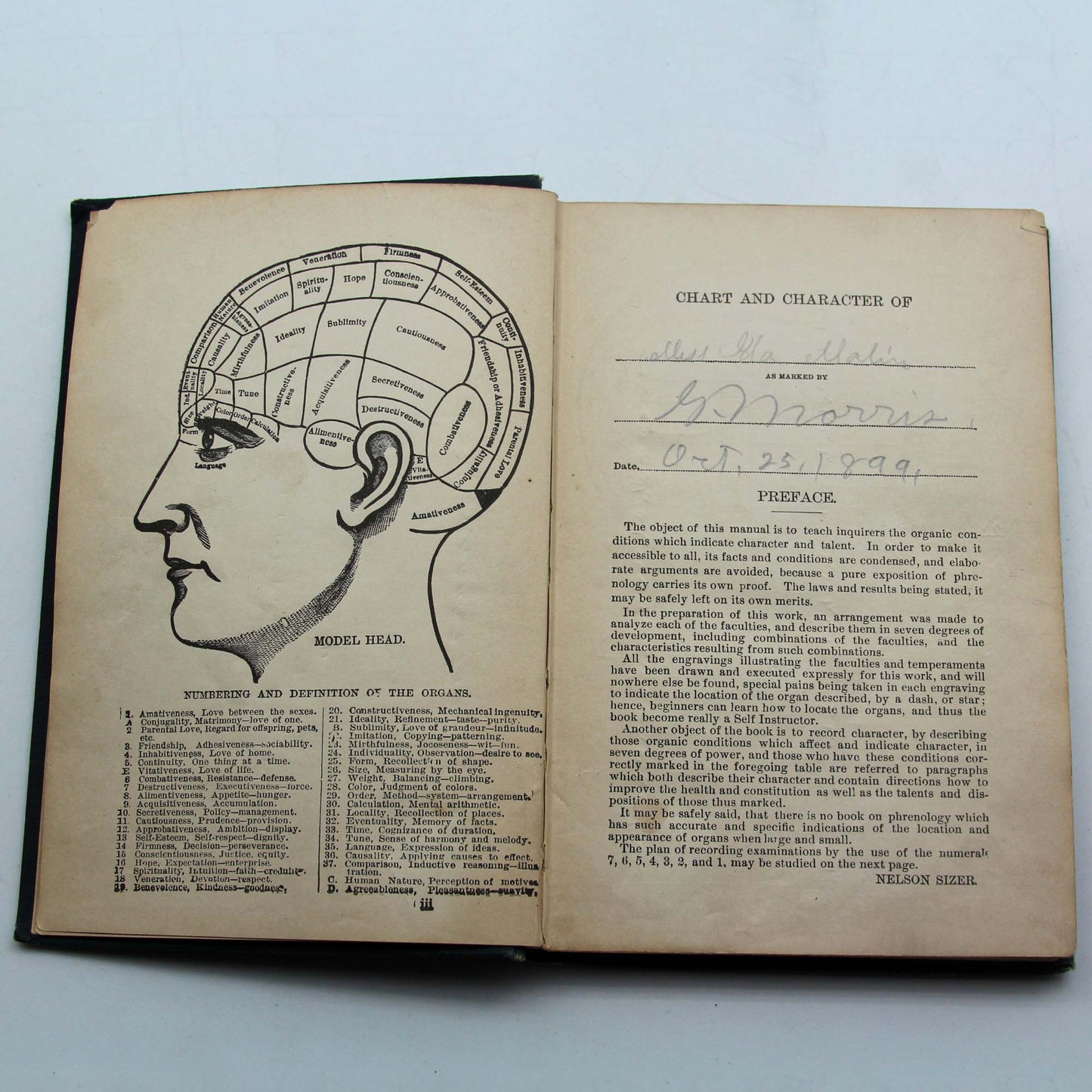 Fowlers Self-Instructor Phrenology Book & Head