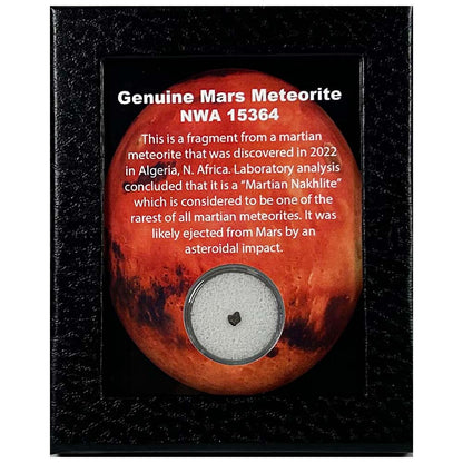 Fragment of a Martian Meteorite Art G S Pawn