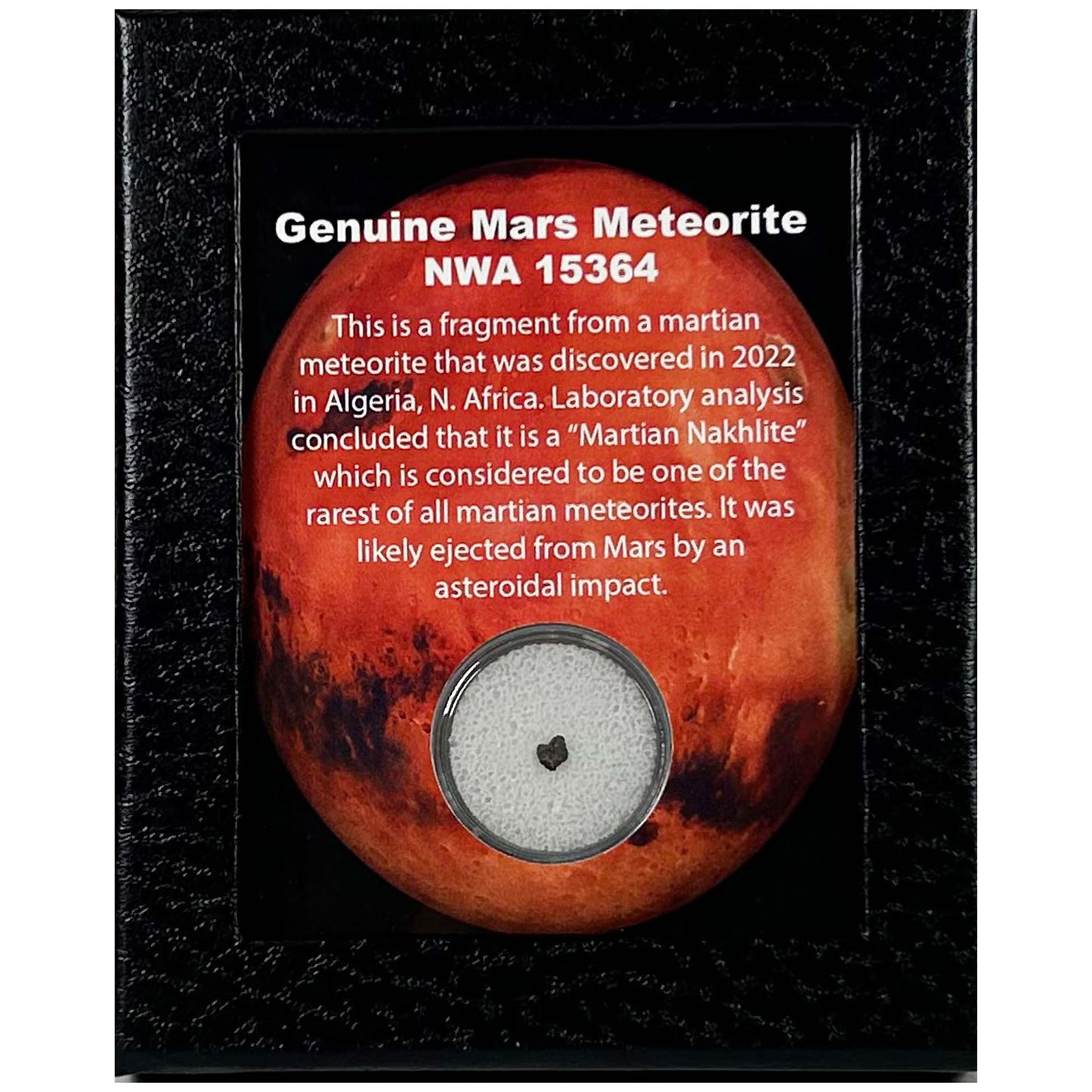 Fragment of a Martian Meteorite Art G S Pawn