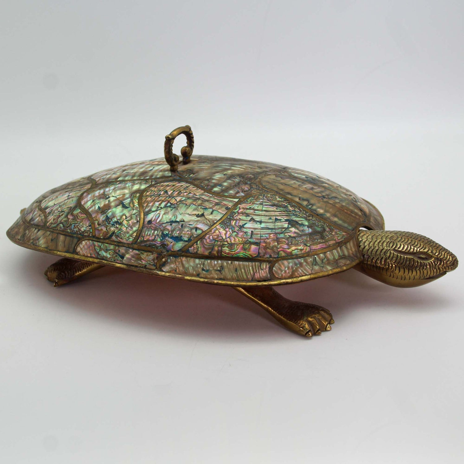 Mexican Abalone & Brass Turtle Left