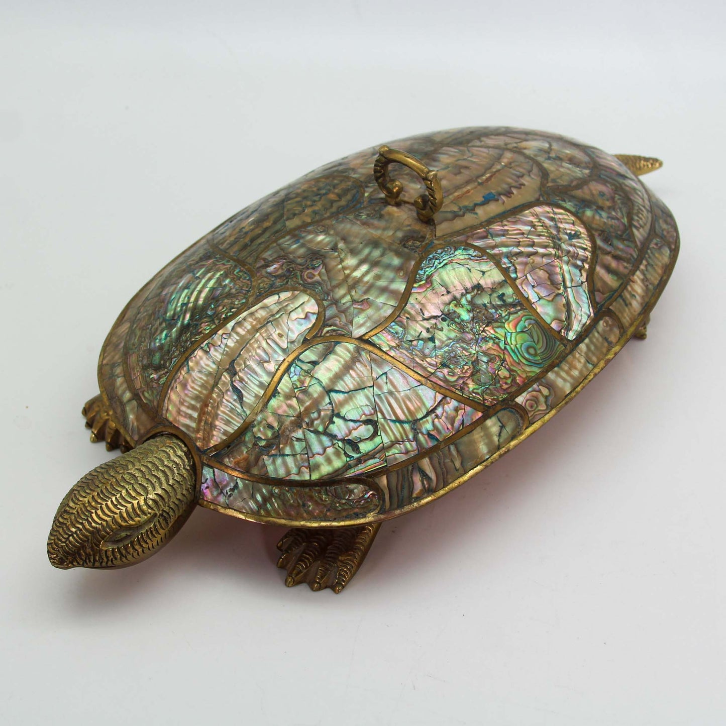 Mexican Abalone & Brass Turtle Angle