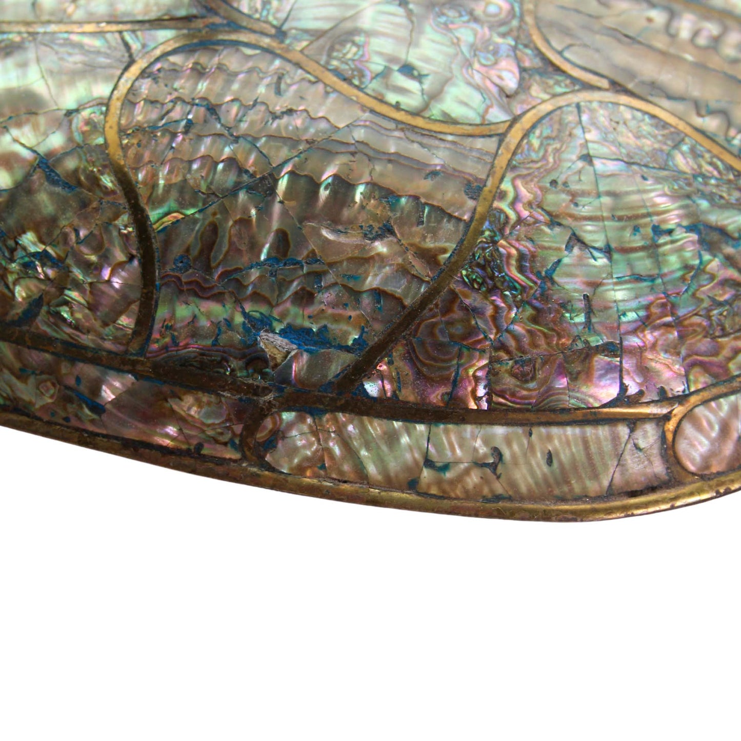 Mexican Abalone & Brass Turtle Flaw