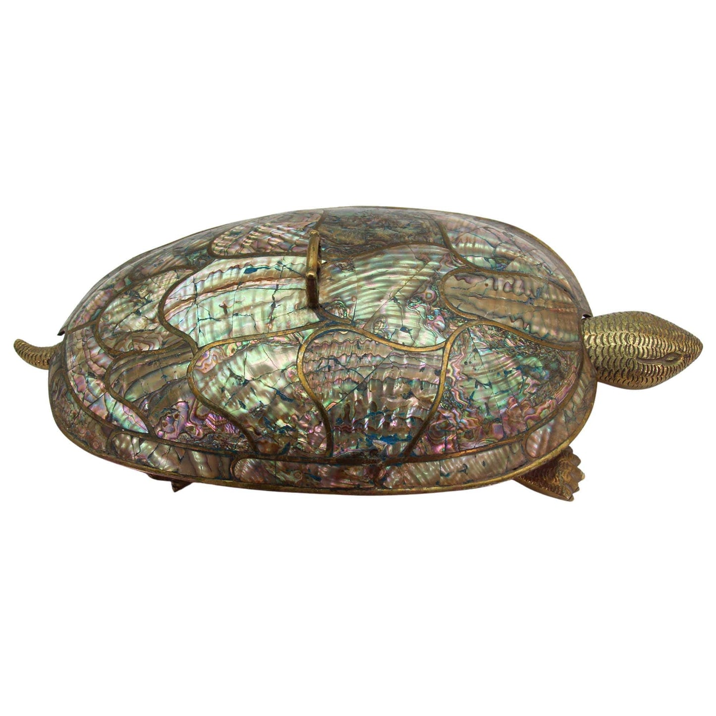 Mexican Abalone & Brass Turtle Front
