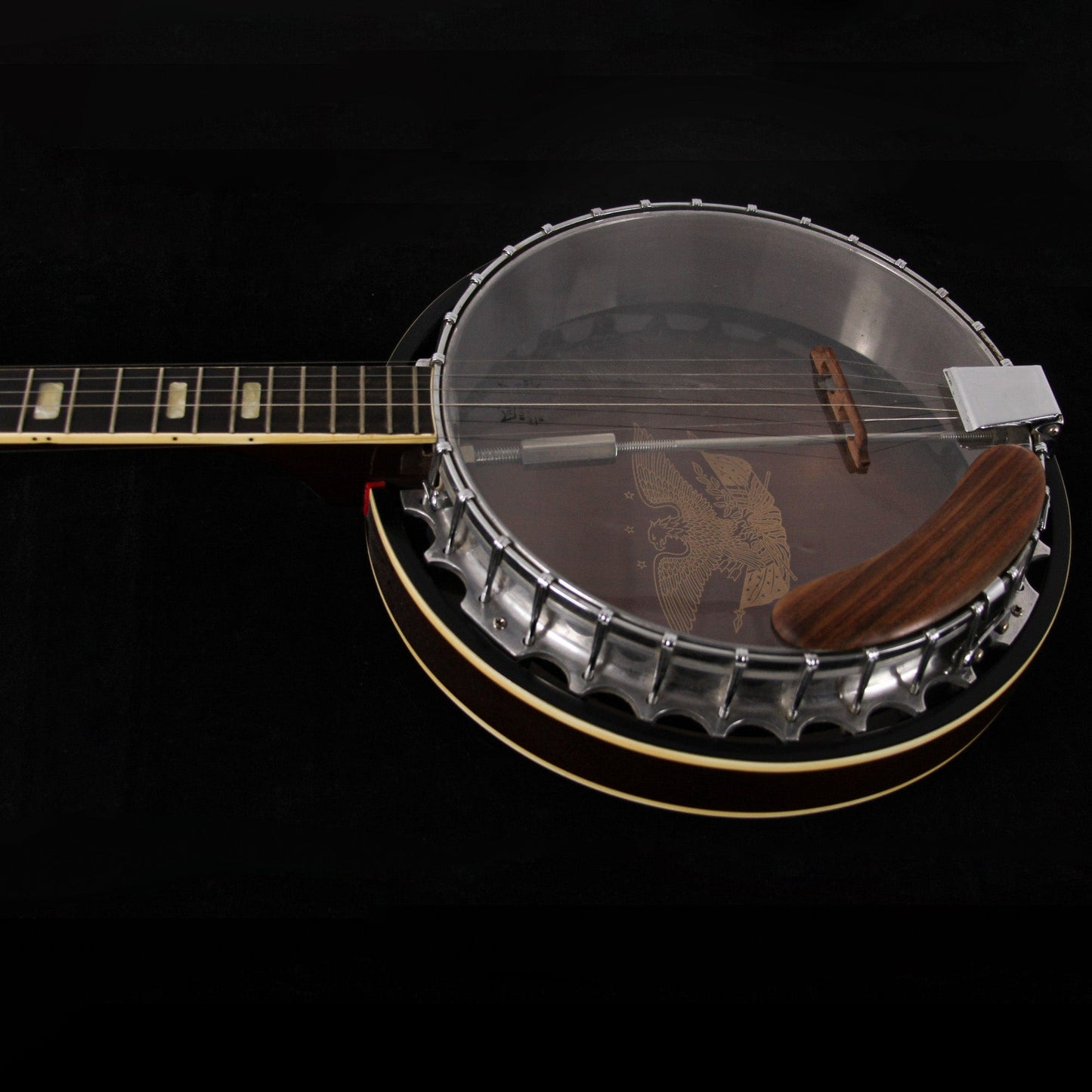 Harmony Double Eagle Banjo Front